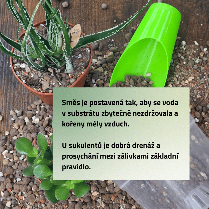 Mix č. 3 Pro kaktusy a sukulenty 